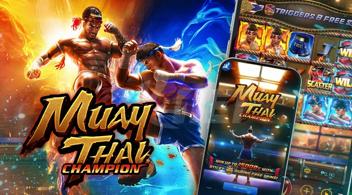 Muay Thai Champion